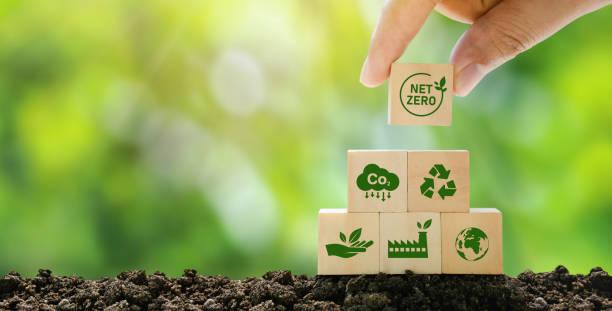 Conservation Through Understanding
